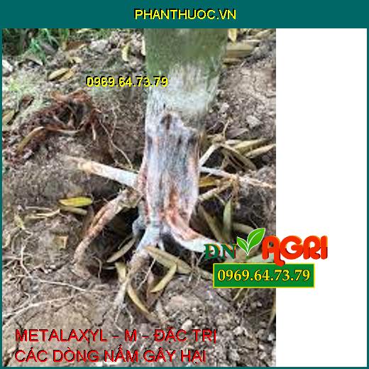 METALAXYL – M – ĐẶC TRỊ CÁC DÒNG NẤM GÂY HẠI