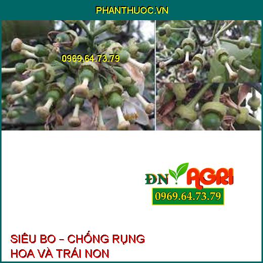 SIÊU BO – CHỐNG RỤNG HOA VÀ TRÁI NON