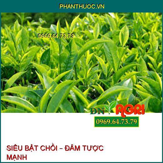 SIÊU BẬT CHỒI – ĐÂM TƯỢC MẠNH