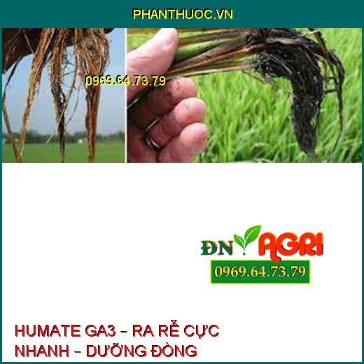 HUMATE GA3 – RA RỄ CỰC NHANH – DƯỠNG ĐÒNG