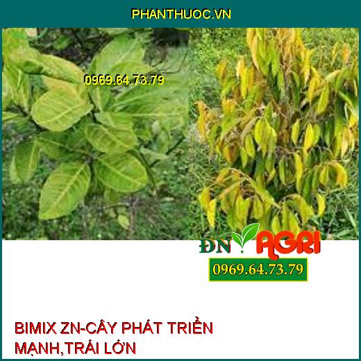 BIMIX ZN-CÂY PHÁT TRIỂN MẠNH,TRÁI LỚN