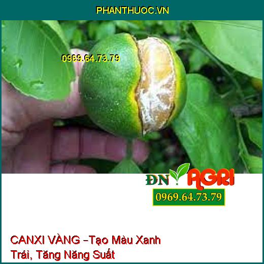 CANXI VÀNG –Tạo Màu Xanh Trái, Tăng Năng Suất