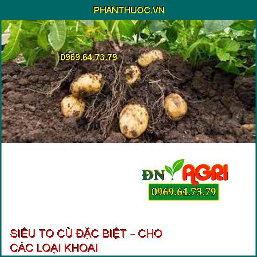 SIÊU TO CỦ ĐẶC BIỆT – CHO CÁC LOẠI KHOAI