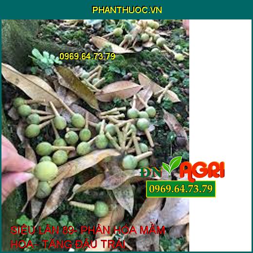 SIÊU LÂN 89- PHÂN HÓA MẦM HOA– TĂNG ĐẬU TRÁI