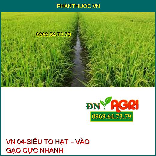 VN 04-SIÊU TO HẠT – VÀO GẠO CỰC NHANH