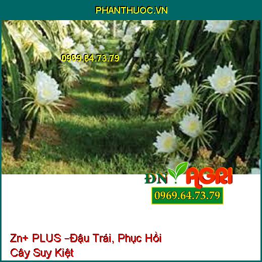 Zn+ PLUS –Đậu Trái, Phục Hồi Cây Suy Kiệt