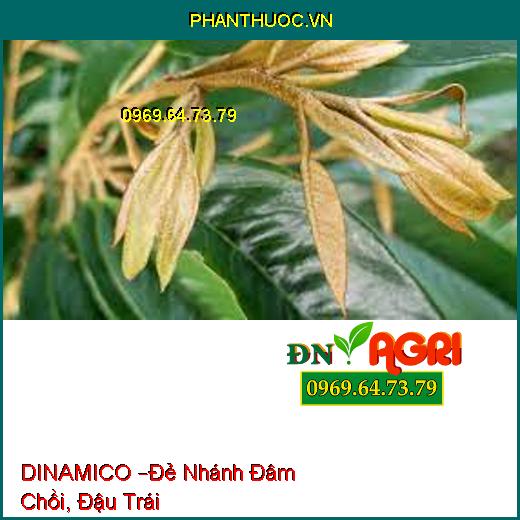 DINAMICO –Đẻ Nhánh Đâm Chồi, Đậu Trái