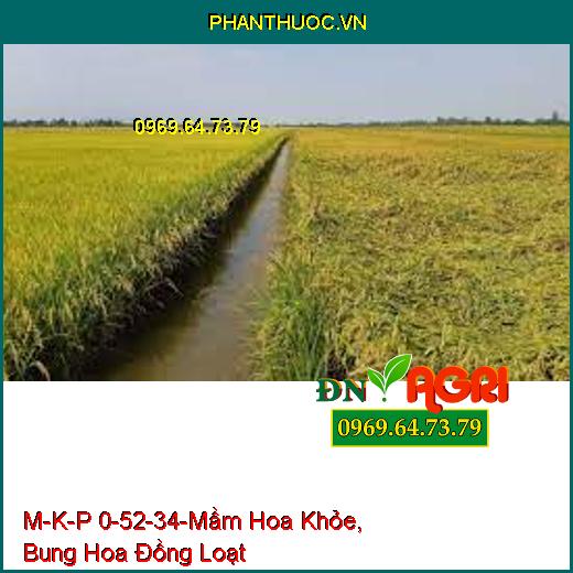 M-K-P 0-52-34-Mầm Hoa Khỏe, Bung Hoa Đồng Loạt