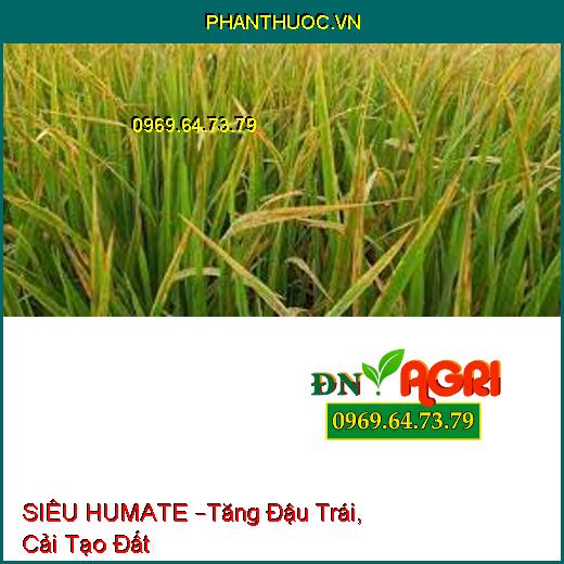 SIÊU HUMATE –Tăng Đậu Trái, Cải Tạo Đất