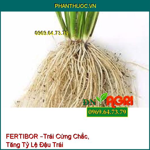 FERTIBOR –Trái Cứng Chắc, Tăng Tỷ Lệ Đậu Trái