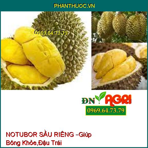 NOTUBOR SẦU RIÊNG –Giúp Bông Khỏe,Đậu Trái