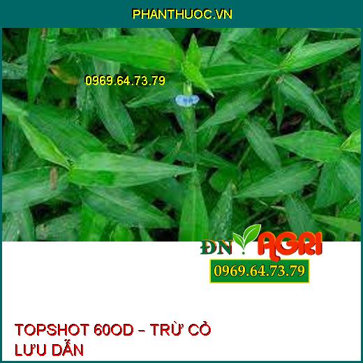 TOPSHOT 60OD – TRỪ CỎ LƯU DẪN