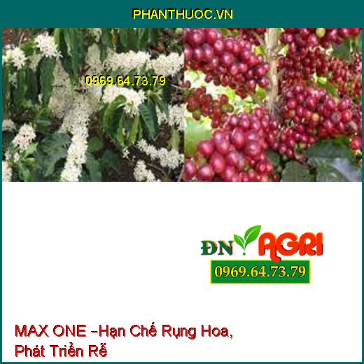 MAX ONE –Hạn Chế Rụng Hoa, Phát Triển Rễ