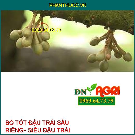 BÒ TÓT ĐẬU TRÁI SẦU RIÊNG– SIÊU ĐẬU TRÁI