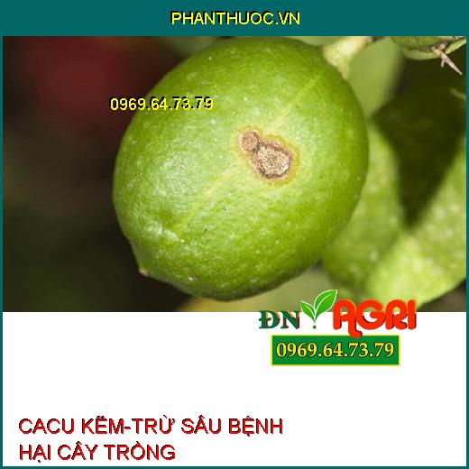 CACU KẼM-TRỪ SÂU BỆNH HẠI CÂY TRỒNG