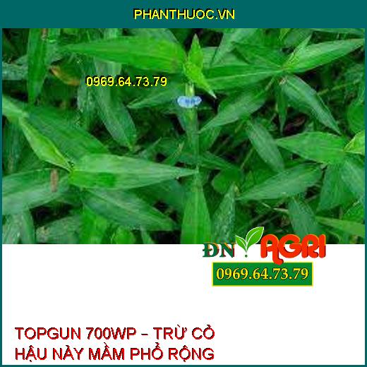 TOPGUN 700WP – TRỪ CỎ HẬU NẢY MẦM PHỔ RỘNG