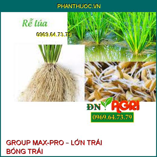 GROUP MAX-PRO – LỚN TRÁI BÓNG TRÁI