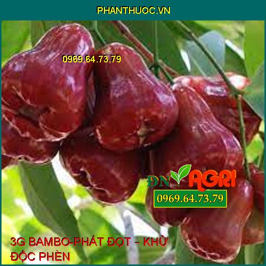 3G BAMBO-PHÁT ĐỌT – KHỬ ĐỘC PHÈN