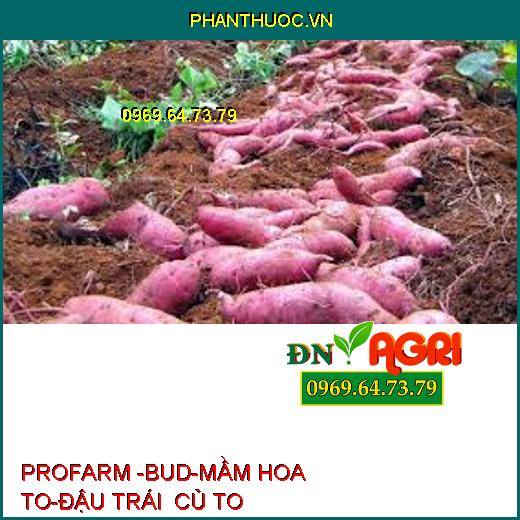 PROFARM -BUD-MẦM HOA TO-ĐẬU TRÁI CỦ TO