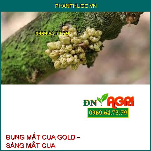 BUNG MẮT CUA GOLD – SÁNG MẮT CUA