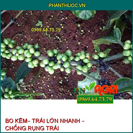 BO KẼM– TRÁI LỚN NHANH – CHỐNG RỤNG TRÁI