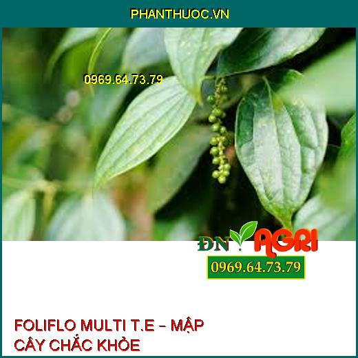 FOLIFLO MULTI T.E – MẬP CÂY CHẮC KHỎE