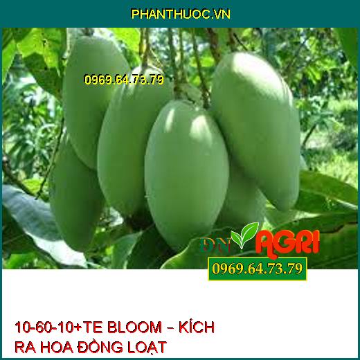 10-60-10+TE BLOOM – KÍCH RA HOA ĐỒNG LOẠT