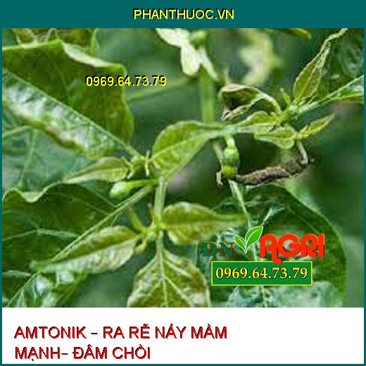 AMTONIK – RA RỄ NẨY MẦM MẠNH– ĐÂM CHỒI