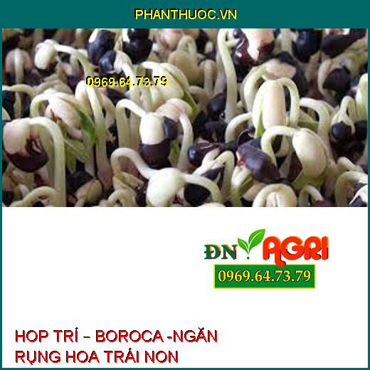 HOP TRÍ – BOROCA -NGĂN RỤNG HOA TRÁI NON