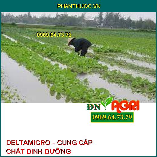 DELTAMICRO – CUNG CẤP CHẤT DINH DƯỠNG