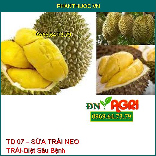 TD 07 – SỬA TRÁI NEO TRÁI-Diệt Sâu Bệnh