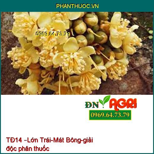 TĐ14 –Lớn Trái-Mát Bông-giải độc phân thuốc