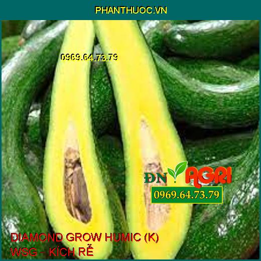 DIAMOND GROW HUMIC (K) WSG – KÍCH RỄ 