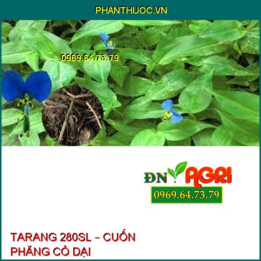 TARANG 280SL – CUỐN PHĂNG CỎ DẠI