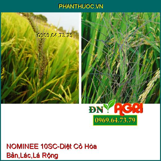 NOMINEE 10SC-Diệt Cỏ Hòa Bản,Lác,Lá Rộng