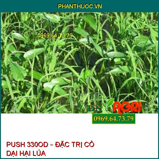 PUSH 330OD – ĐẶC TRỊ CỎ DẠI HẠI LÚA