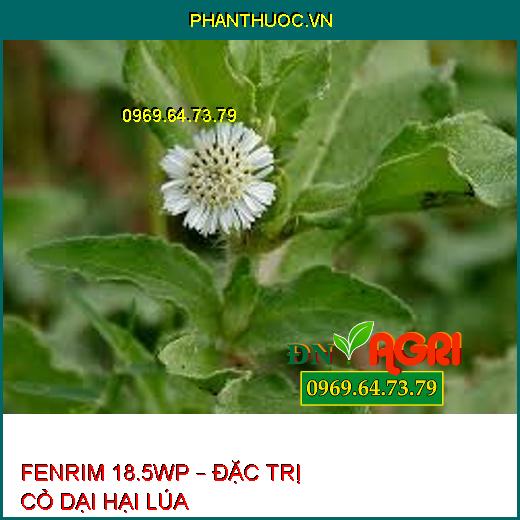 FENRIM 18.5WP – ĐẶC TRỊ CỎ DẠI HẠI LÚA