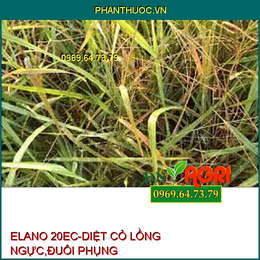 ELANO 20EC-DIỆT CỎ LỒNG NGỰC,ĐUÔI PHỤNG