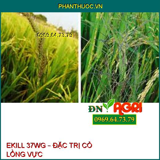 EKILL 37WG – ĐẶC TRỊ CỎ LỒNG VỰC