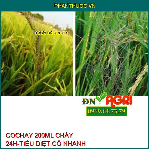 COCHAY 200ML CHÁY 24H-TIÊU DIỆT CỎ NHANH