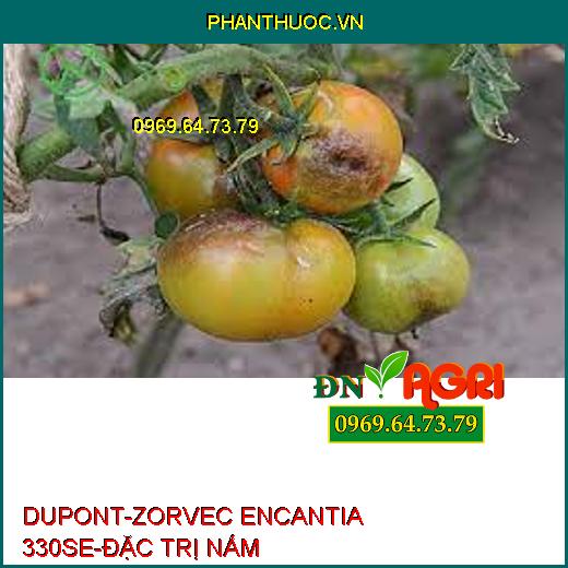 DUPONT-ZORVEC ENCANTIA 330SE-ĐẶC TRỊ NẤM 