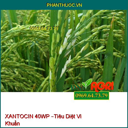 XANTOCIN 40WP –Tiêu Diệt Vi Khuẩn