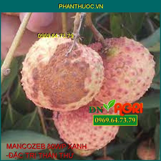 MANCOZEB 80WP XANH -ĐẶC TRỊ THÁN THƯ 