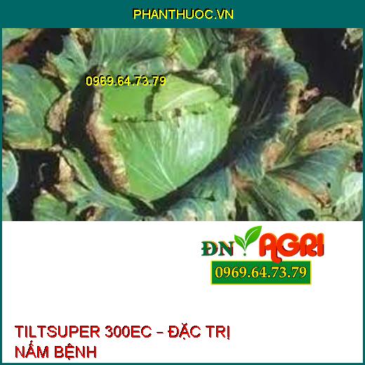 TILTSUPER 300EC – ĐẶC TRỊ NẤM BỆNH