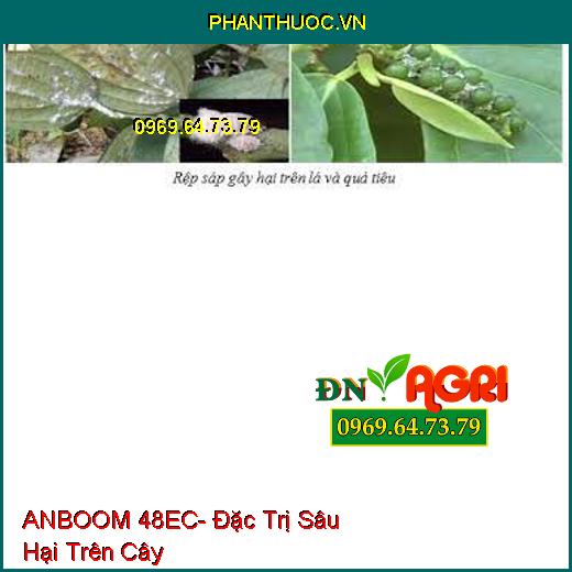 ANBOOM 48EC- Đặc Trị Sâu Hại Trên Cây