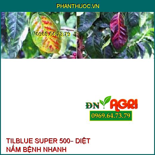 TILBLUE SUPER 500– DIỆT NẤM BỆNH NHANH