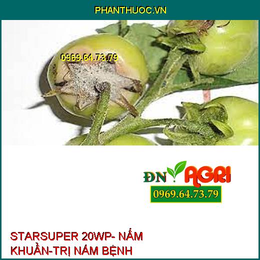 STARSUPER 20WP- NẤM KHUẨN-TRỊ NẤM BỆNH