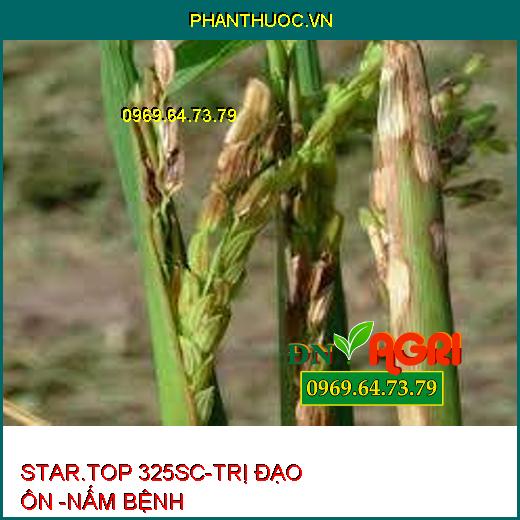 STAR.TOP 325SC-TRỊ ĐẠO ÔN -NẤM BỆNH