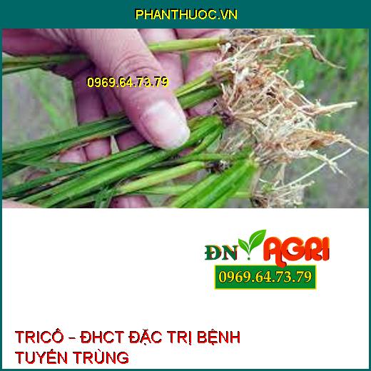 TRICÔ – ĐHCT ĐẶC TRỊ BỆNH TUYẾN TRÙNG