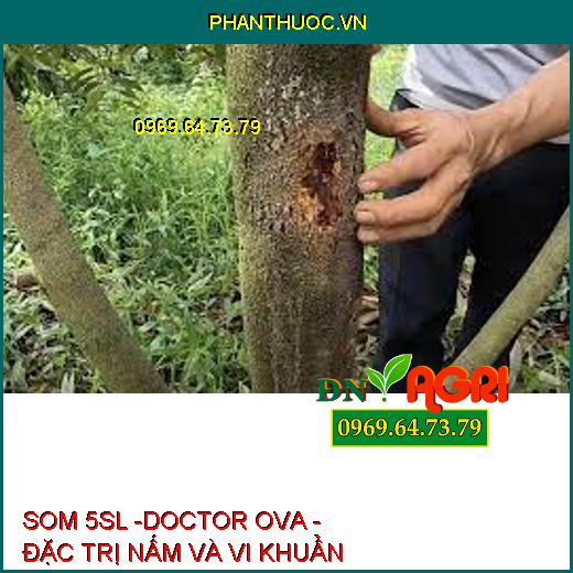 SOM 5SL -DOCTOR OVA - ĐẶC TRỊ NẤM VÀ VI KHUẨN